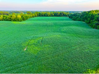 Property photo 2 - LAKE FRONT PROPERTY AUCTION - 36.45+/-ACRES OFFERED IN 3 TRACTS IN NOBLE COUNTY, INDIANA