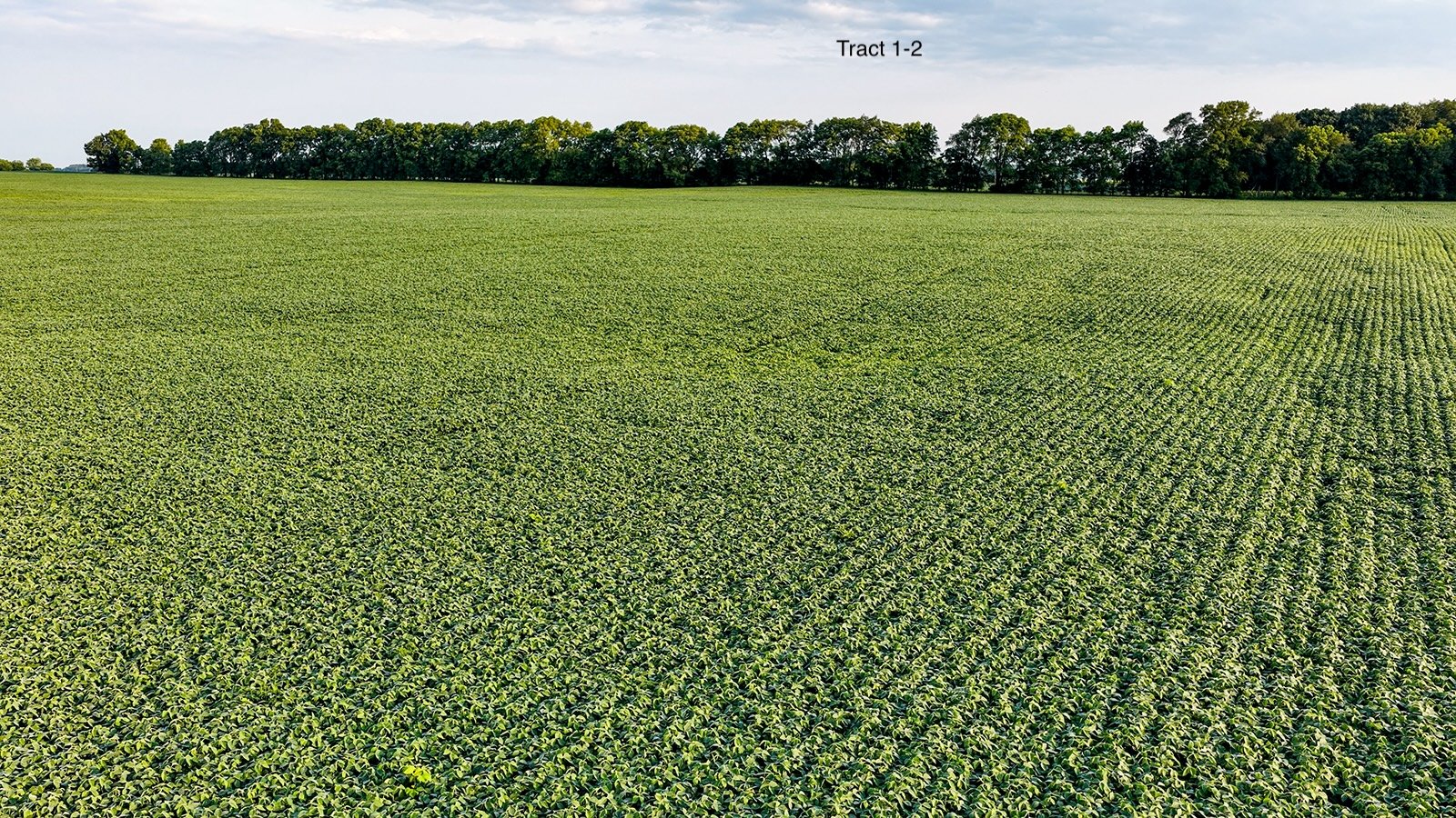 Property photo 2 - QUALITY LAND AUCTION - 249.5+/-ACRES OFFERED IN 9 TRACTS IN MARSHALL COUNTY, INDIANA