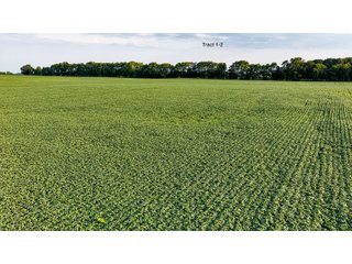 Property photo 6 - QUALITY LAND AUCTION - 249.5+/-ACRES OFFERED IN 9 TRACTS IN MARSHALL COUNTY, INDIANA