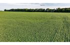 Property photo 6 - QUALITY LAND AUCTION - 249.5+/-ACRES OFFERED IN 9 TRACTS IN MARSHALL COUNTY, INDIANA