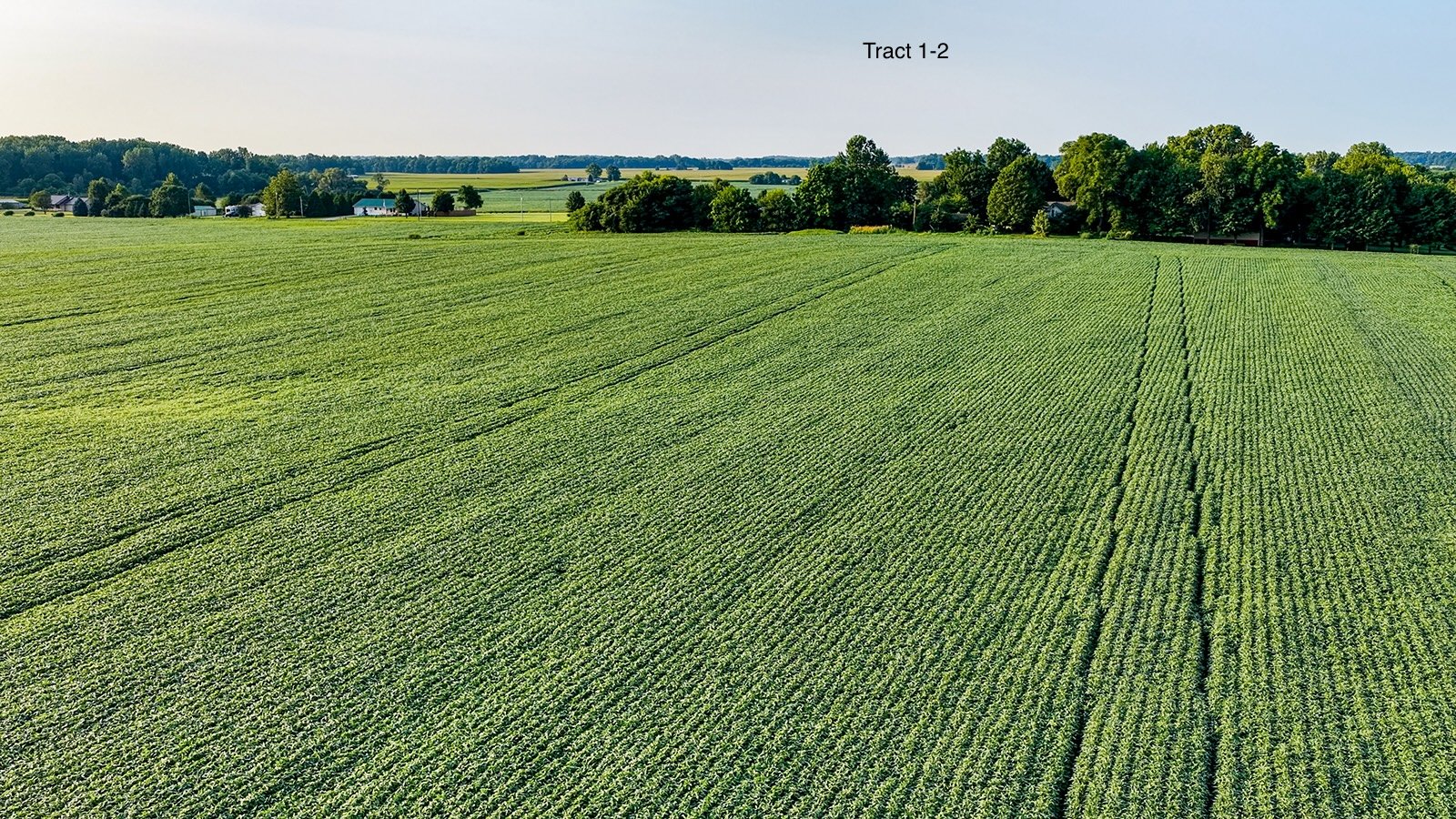 Property photo 7 - QUALITY LAND AUCTION - 249.5+/-ACRES OFFERED IN 9 TRACTS IN MARSHALL COUNTY, INDIANA