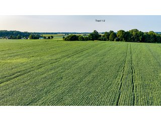 Property photo 7 - QUALITY LAND AUCTION - 249.5+/-ACRES OFFERED IN 9 TRACTS IN MARSHALL COUNTY, INDIANA