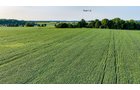 Property photo 7 - QUALITY LAND AUCTION - 249.5+/-ACRES OFFERED IN 9 TRACTS IN MARSHALL COUNTY, INDIANA