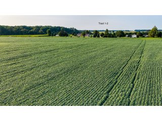 Property photo 8 - QUALITY LAND AUCTION - 249.5+/-ACRES OFFERED IN 9 TRACTS IN MARSHALL COUNTY, INDIANA