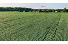 Property photo 8 - QUALITY LAND AUCTION - 249.5+/-ACRES OFFERED IN 9 TRACTS IN MARSHALL COUNTY, INDIANA