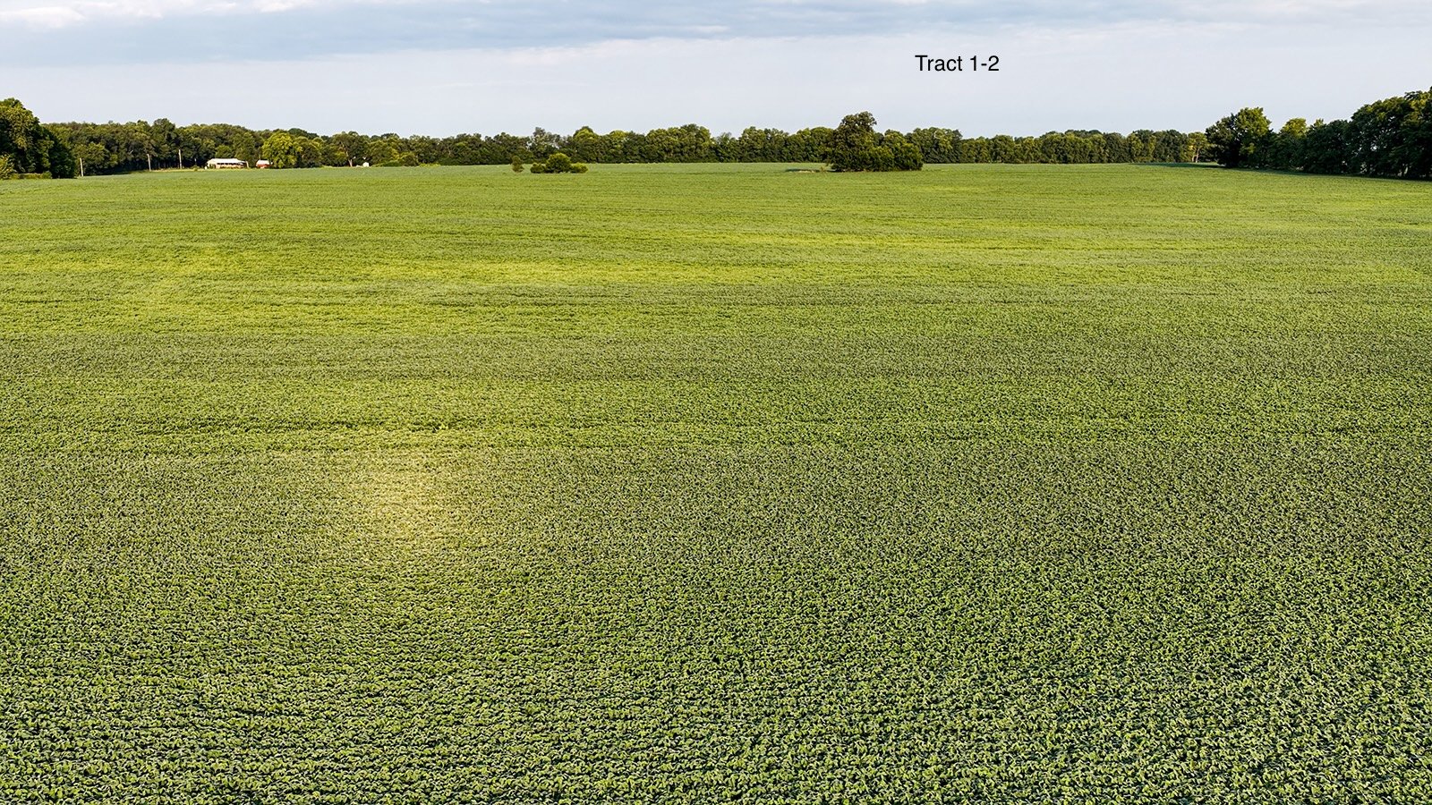 Property photo 9 - QUALITY LAND AUCTION - 249.5+/-ACRES OFFERED IN 9 TRACTS IN MARSHALL COUNTY, INDIANA