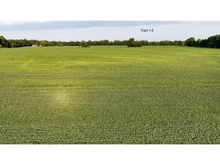 Property photo 9 - QUALITY LAND AUCTION - 249.5+/-ACRES OFFERED IN 9 TRACTS IN MARSHALL COUNTY, INDIANA