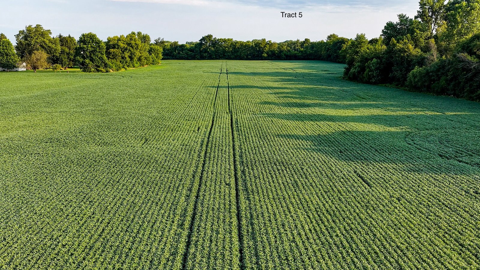 Property photo 23 - QUALITY LAND AUCTION - 249.5+/-ACRES OFFERED IN 9 TRACTS IN MARSHALL COUNTY, INDIANA