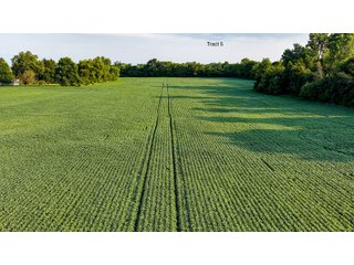 Property photo 23 - QUALITY LAND AUCTION - 249.5+/-ACRES OFFERED IN 9 TRACTS IN MARSHALL COUNTY, INDIANA