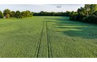 Property photo 23 - QUALITY LAND AUCTION - 249.5+/-ACRES OFFERED IN 9 TRACTS IN MARSHALL COUNTY, INDIANA
