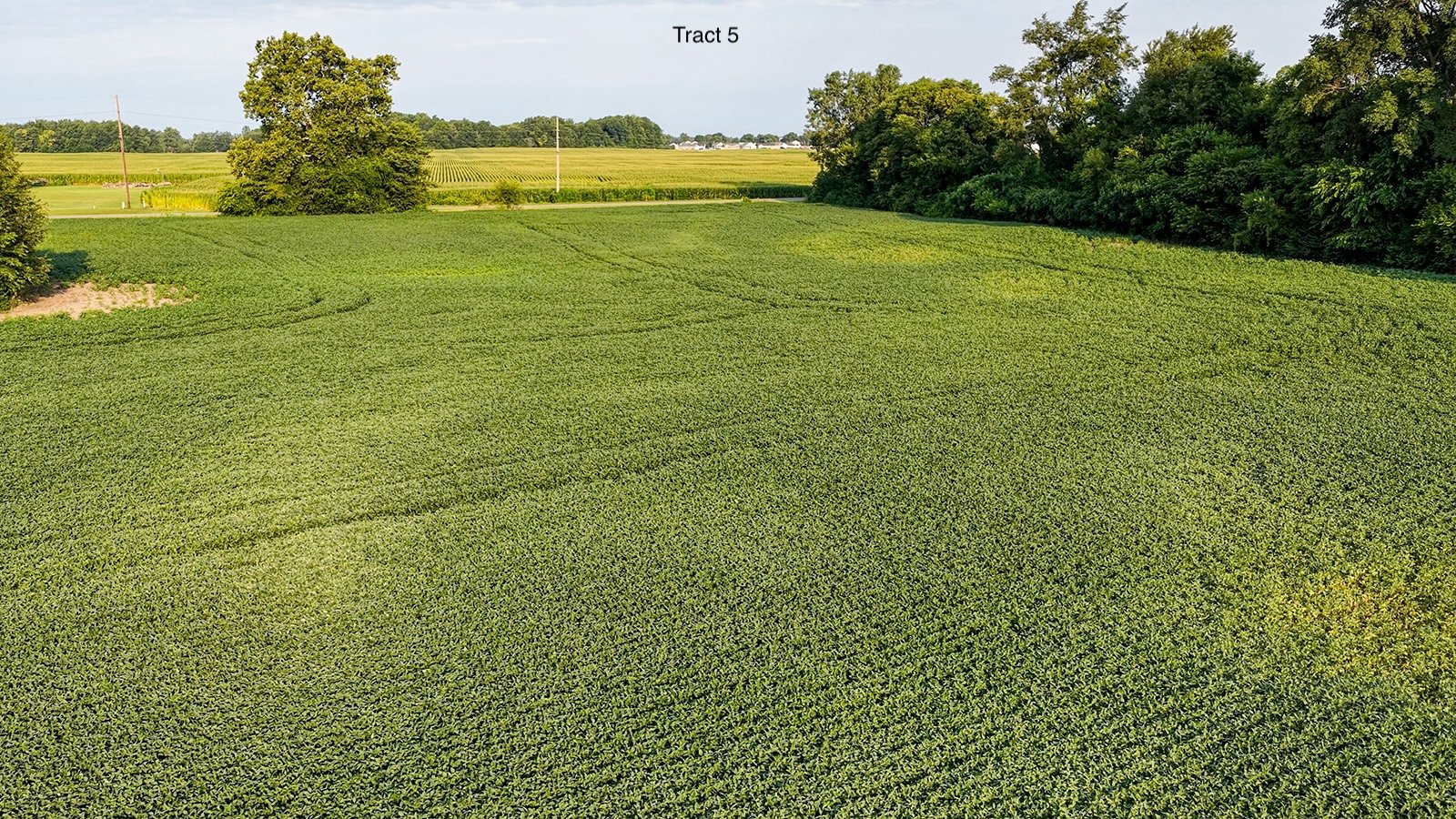 Property photo 24 - QUALITY LAND AUCTION - 249.5+/-ACRES OFFERED IN 9 TRACTS IN MARSHALL COUNTY, INDIANA