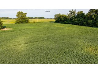 Property photo 24 - QUALITY LAND AUCTION - 249.5+/-ACRES OFFERED IN 9 TRACTS IN MARSHALL COUNTY, INDIANA