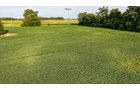 Property photo 24 - QUALITY LAND AUCTION - 249.5+/-ACRES OFFERED IN 9 TRACTS IN MARSHALL COUNTY, INDIANA