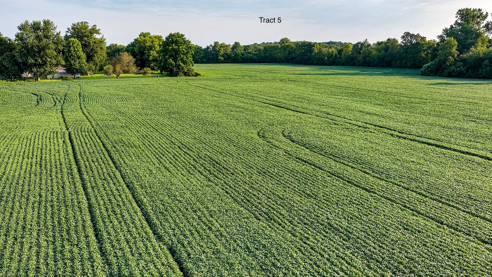 Property photo 25 - QUALITY LAND AUCTION - 249.5+/-ACRES OFFERED IN 9 TRACTS IN MARSHALL COUNTY, INDIANA