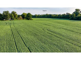 Property photo 25 - QUALITY LAND AUCTION - 249.5+/-ACRES OFFERED IN 9 TRACTS IN MARSHALL COUNTY, INDIANA