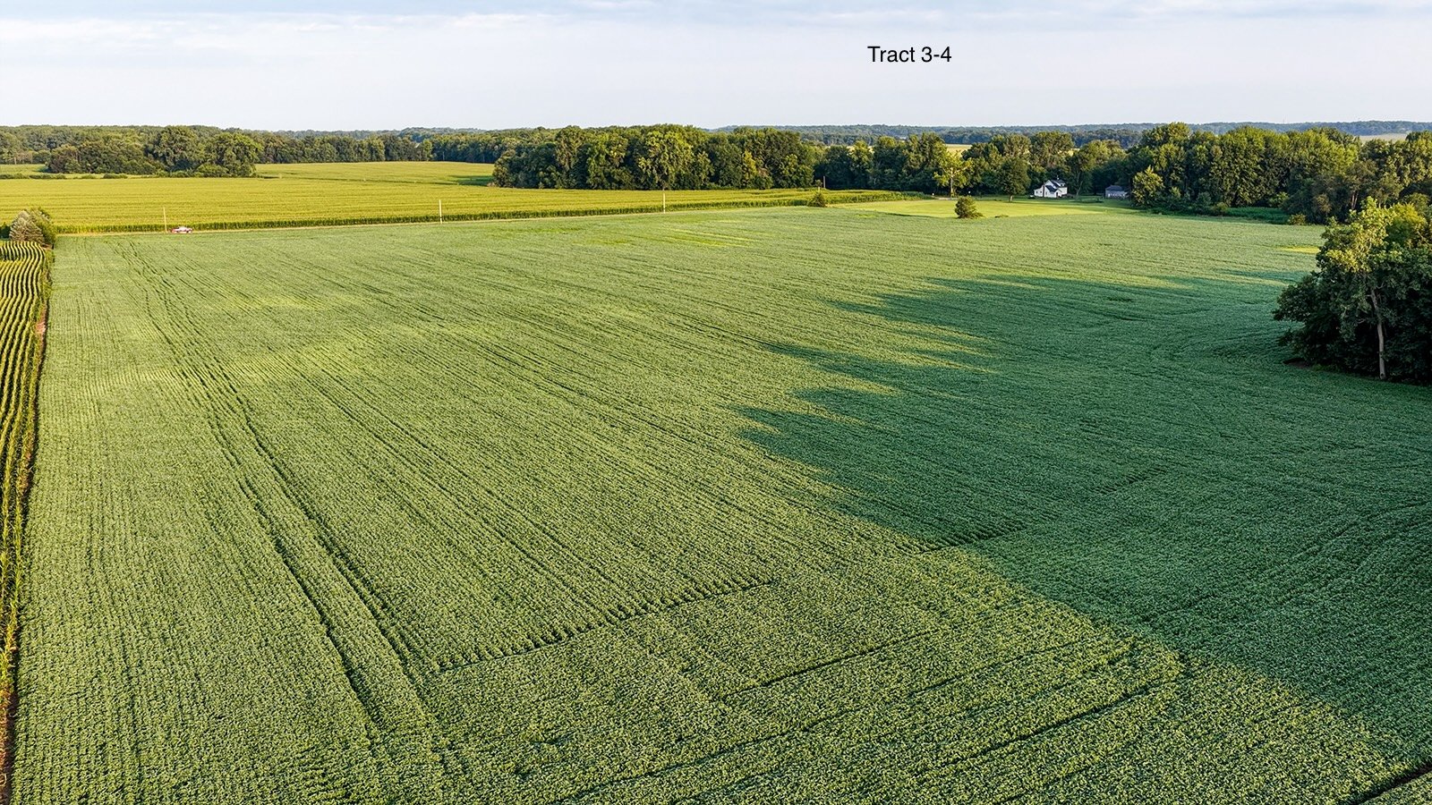 Property photo 15 - QUALITY LAND AUCTION - 249.5+/-ACRES OFFERED IN 9 TRACTS IN MARSHALL COUNTY, INDIANA