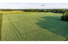 Property photo 15 - QUALITY LAND AUCTION - 249.5+/-ACRES OFFERED IN 9 TRACTS IN MARSHALL COUNTY, INDIANA