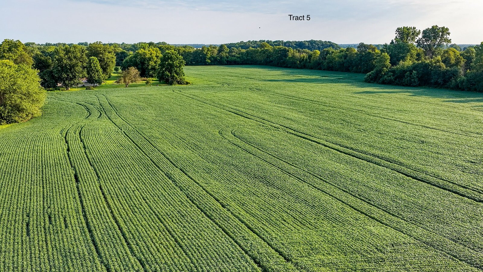 Property photo 27 - QUALITY LAND AUCTION - 249.5+/-ACRES OFFERED IN 9 TRACTS IN MARSHALL COUNTY, INDIANA