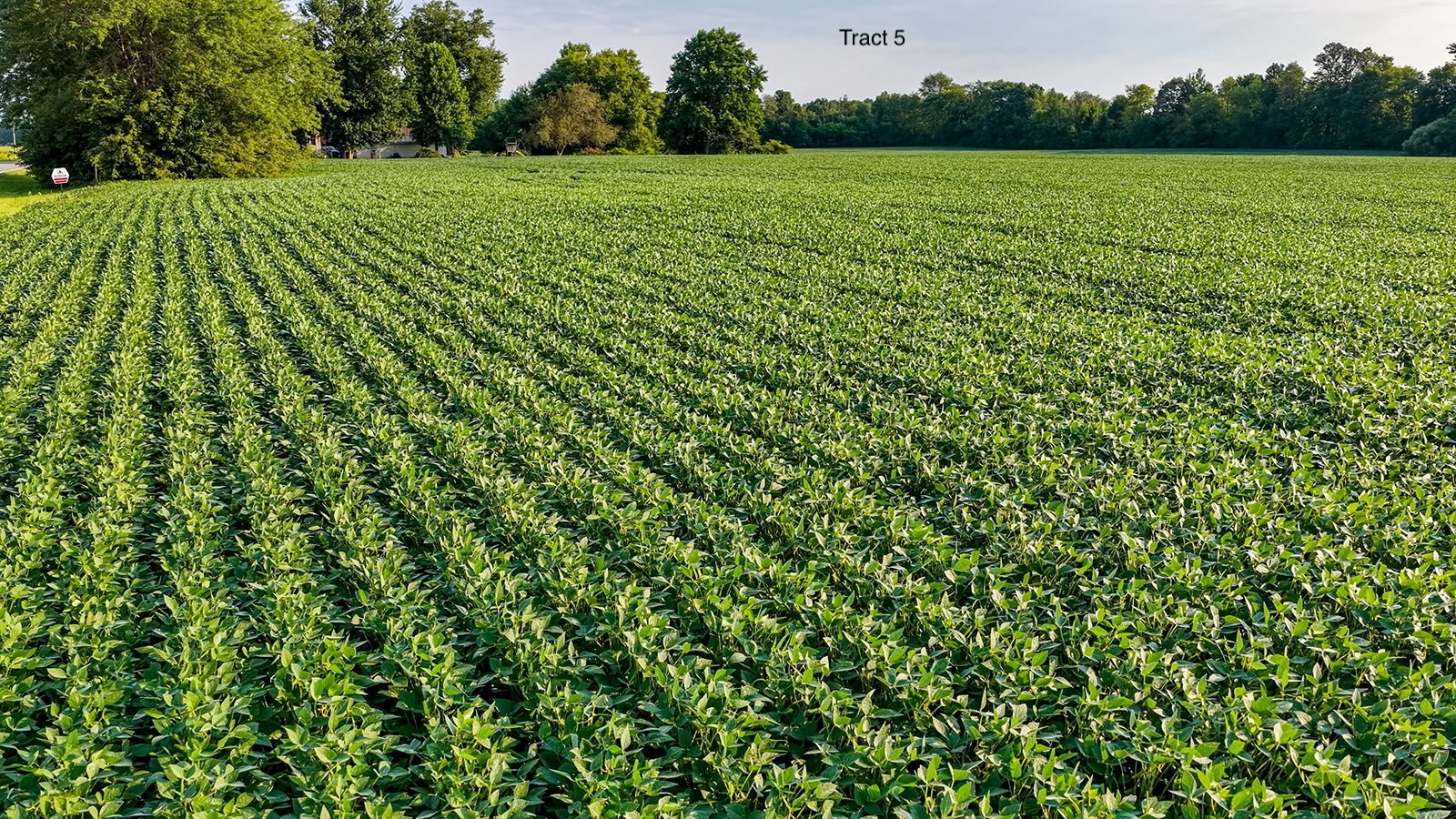 Property photo 28 - QUALITY LAND AUCTION - 249.5+/-ACRES OFFERED IN 9 TRACTS IN MARSHALL COUNTY, INDIANA