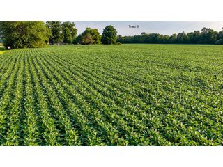 Property photo 28 - QUALITY LAND AUCTION - 249.5+/-ACRES OFFERED IN 9 TRACTS IN MARSHALL COUNTY, INDIANA