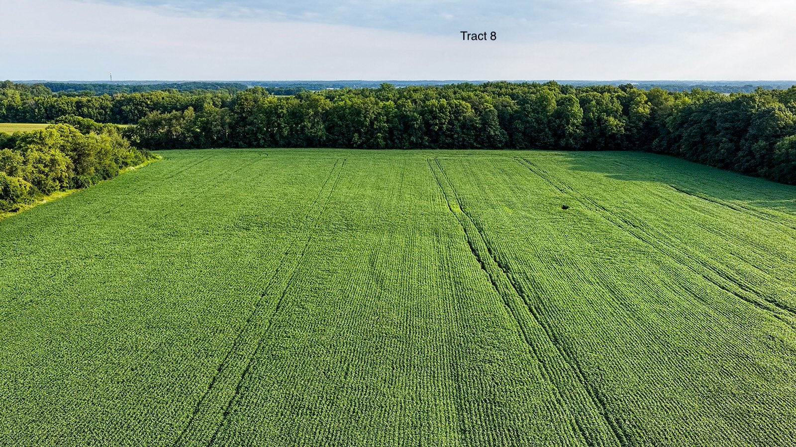 Property photo 37 - QUALITY LAND AUCTION - 249.5+/-ACRES OFFERED IN 9 TRACTS IN MARSHALL COUNTY, INDIANA