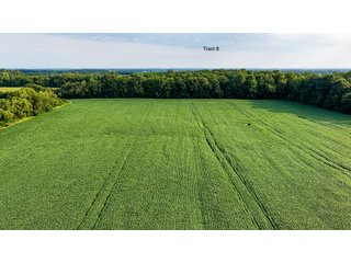 Property photo 37 - QUALITY LAND AUCTION - 249.5+/-ACRES OFFERED IN 9 TRACTS IN MARSHALL COUNTY, INDIANA
