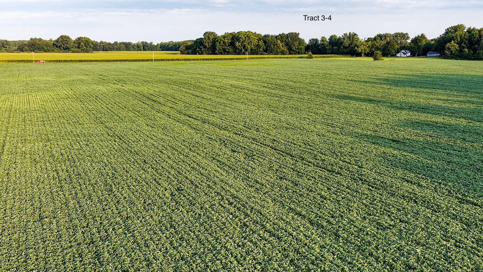 Property photo 16 - QUALITY LAND AUCTION - 249.5+/-ACRES OFFERED IN 9 TRACTS IN MARSHALL COUNTY, INDIANA