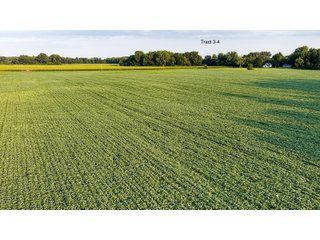 Property photo 16 - QUALITY LAND AUCTION - 249.5+/-ACRES OFFERED IN 9 TRACTS IN MARSHALL COUNTY, INDIANA