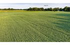 Property photo 16 - QUALITY LAND AUCTION - 249.5+/-ACRES OFFERED IN 9 TRACTS IN MARSHALL COUNTY, INDIANA