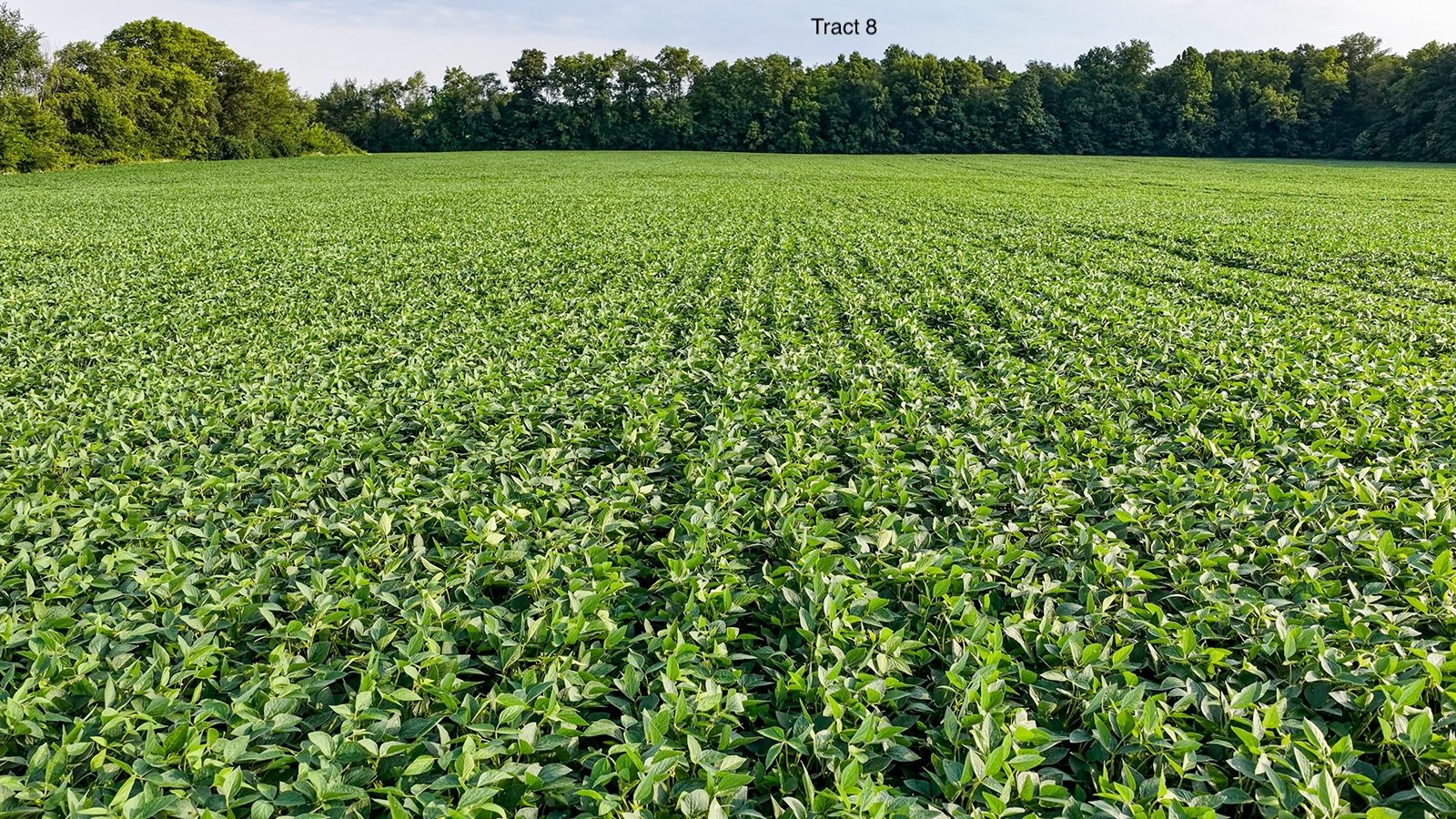 Property photo 38 - QUALITY LAND AUCTION - 249.5+/-ACRES OFFERED IN 9 TRACTS IN MARSHALL COUNTY, INDIANA