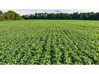 Property photo 38 - QUALITY LAND AUCTION - 249.5+/-ACRES OFFERED IN 9 TRACTS IN MARSHALL COUNTY, INDIANA