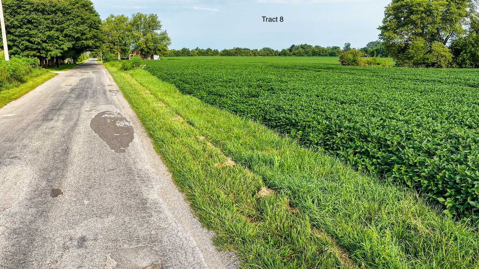Property photo 39 - QUALITY LAND AUCTION - 249.5+/-ACRES OFFERED IN 9 TRACTS IN MARSHALL COUNTY, INDIANA