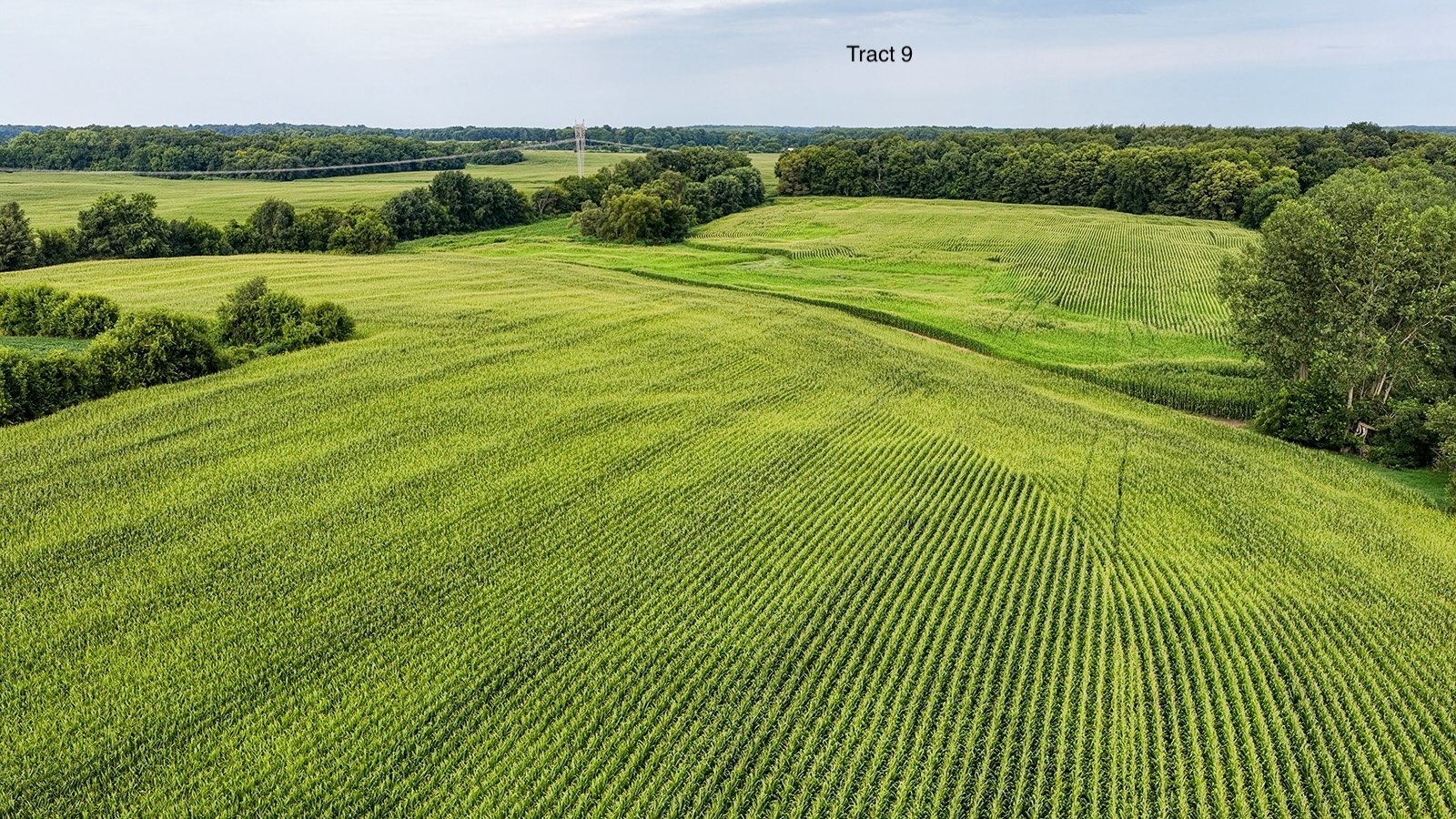 Property photo 42 - QUALITY LAND AUCTION - 249.5+/-ACRES OFFERED IN 9 TRACTS IN MARSHALL COUNTY, INDIANA