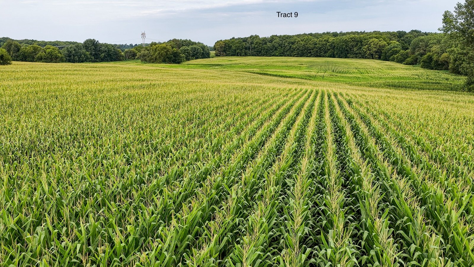 Property photo 43 - QUALITY LAND AUCTION - 249.5+/-ACRES OFFERED IN 9 TRACTS IN MARSHALL COUNTY, INDIANA