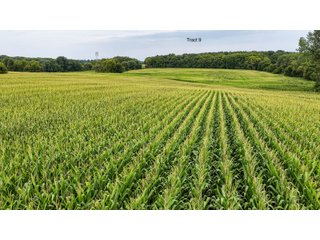Property photo 43 - QUALITY LAND AUCTION - 249.5+/-ACRES OFFERED IN 9 TRACTS IN MARSHALL COUNTY, INDIANA