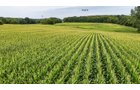 Property photo 43 - QUALITY LAND AUCTION - 249.5+/-ACRES OFFERED IN 9 TRACTS IN MARSHALL COUNTY, INDIANA