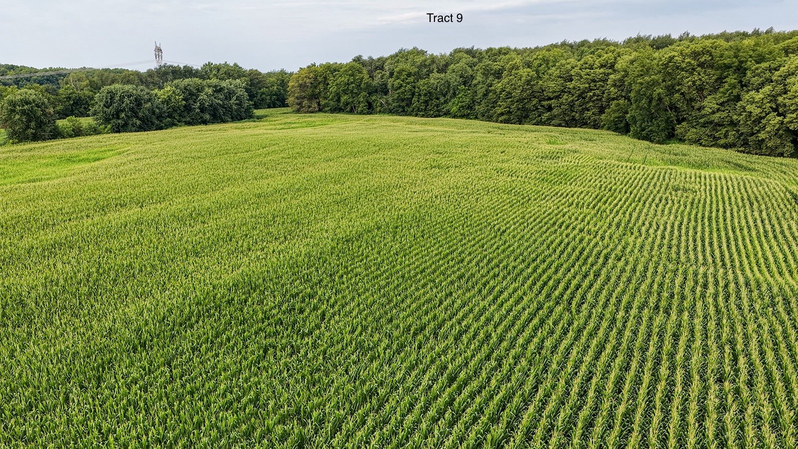 Property photo 44 - QUALITY LAND AUCTION - 249.5+/-ACRES OFFERED IN 9 TRACTS IN MARSHALL COUNTY, INDIANA