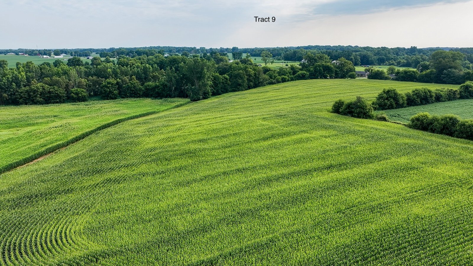 Property photo 45 - QUALITY LAND AUCTION - 249.5+/-ACRES OFFERED IN 9 TRACTS IN MARSHALL COUNTY, INDIANA