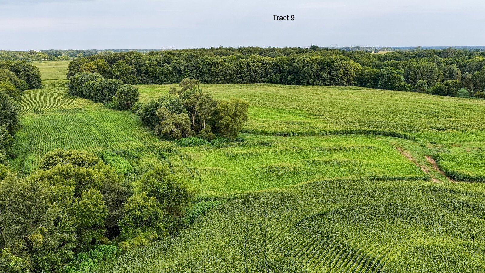 Property photo 46 - QUALITY LAND AUCTION - 249.5+/-ACRES OFFERED IN 9 TRACTS IN MARSHALL COUNTY, INDIANA
