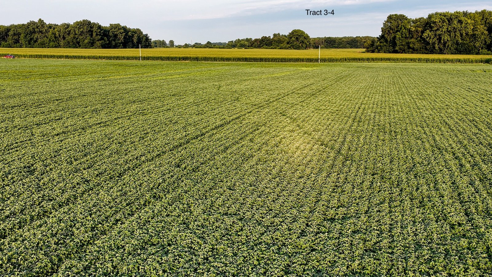 Property photo 18 - QUALITY LAND AUCTION - 249.5+/-ACRES OFFERED IN 9 TRACTS IN MARSHALL COUNTY, INDIANA