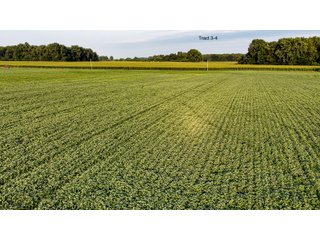 Property photo 18 - QUALITY LAND AUCTION - 249.5+/-ACRES OFFERED IN 9 TRACTS IN MARSHALL COUNTY, INDIANA