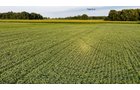 Property photo 18 - QUALITY LAND AUCTION - 249.5+/-ACRES OFFERED IN 9 TRACTS IN MARSHALL COUNTY, INDIANA
