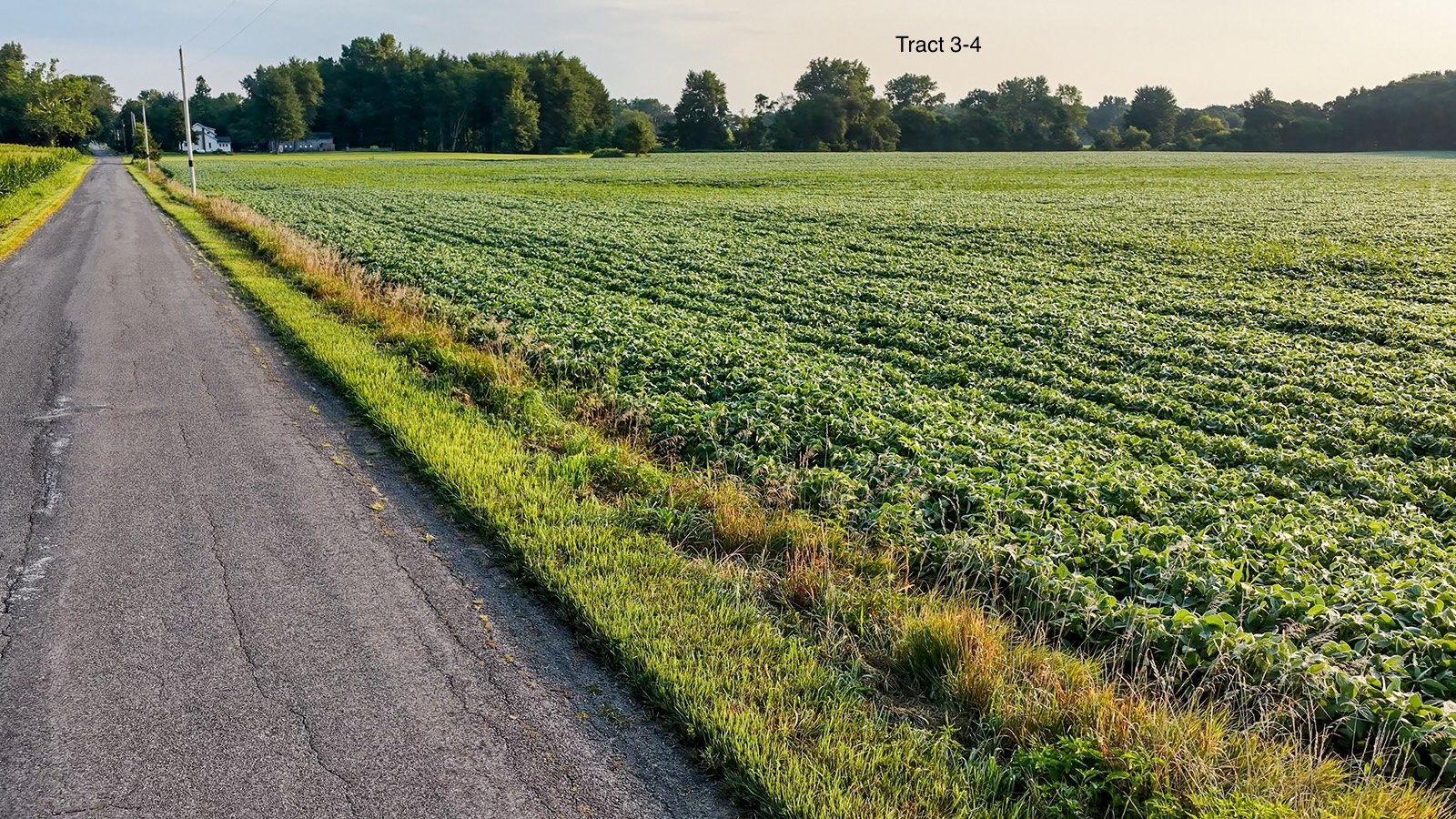 Property photo 19 - QUALITY LAND AUCTION - 249.5+/-ACRES OFFERED IN 9 TRACTS IN MARSHALL COUNTY, INDIANA