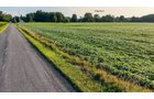 Property photo 19 - QUALITY LAND AUCTION - 249.5+/-ACRES OFFERED IN 9 TRACTS IN MARSHALL COUNTY, INDIANA