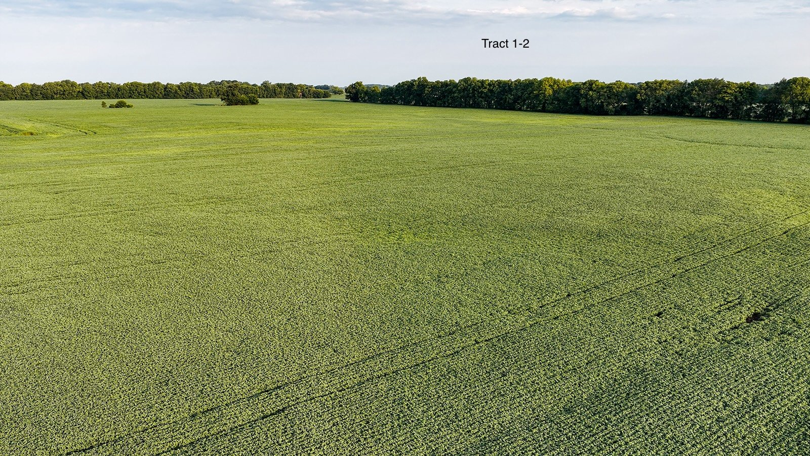 Property photo 12 - QUALITY LAND AUCTION - 249.5+/-ACRES OFFERED IN 9 TRACTS IN MARSHALL COUNTY, INDIANA