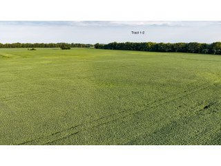 Property photo 12 - QUALITY LAND AUCTION - 249.5+/-ACRES OFFERED IN 9 TRACTS IN MARSHALL COUNTY, INDIANA