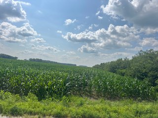 Property photo 15 - LAND AUCTION 97.46+/-ACRES OFFERED IN 2 TRACTS IN MERCER COUNTY, OHIO