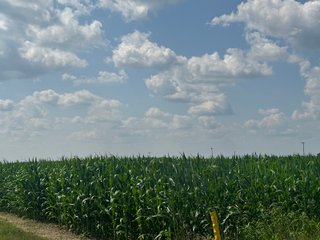 Property photo 16 - LAND AUCTION 97.46+/-ACRES OFFERED IN 2 TRACTS IN MERCER COUNTY, OHIO