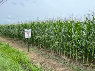 Property photo 22 - LAND AUCTION 97.46+/-ACRES OFFERED IN 2 TRACTS IN MERCER COUNTY, OHIO