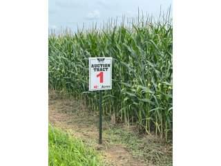Property photo 23 - LAND AUCTION 97.46+/-ACRES OFFERED IN 2 TRACTS IN MERCER COUNTY, OHIO